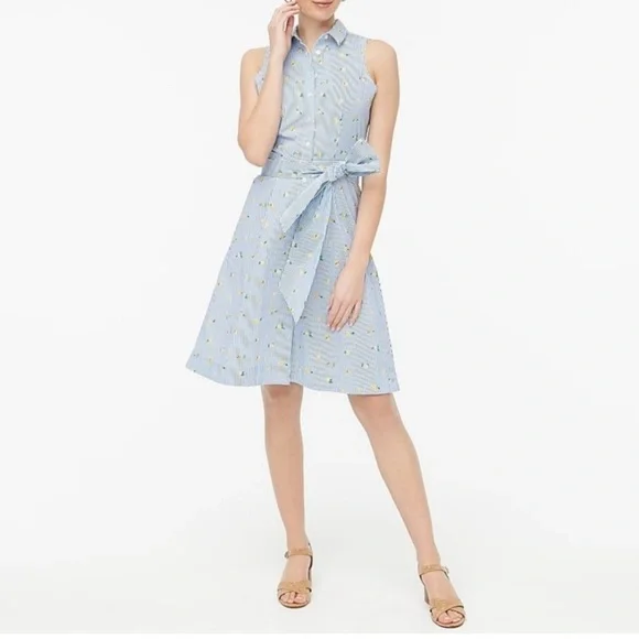 J.Crew Lemon Print Shirt Dress Blue Striped Sleeveless Belted Summer Size 10 - Picture 1 of 10